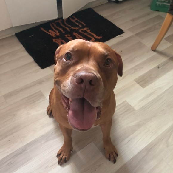 Meet your Posher, Kathrine - Picture 3 of 3